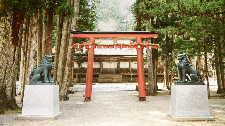 Koyasan7